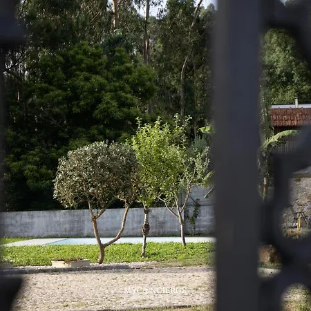 Casa Da Trapa 度假居 奥利韦拉-迪阿泽梅什